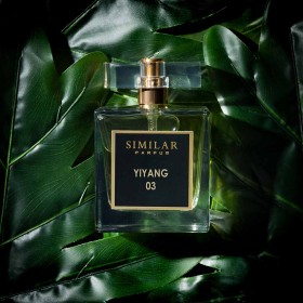 YSL - MUSE