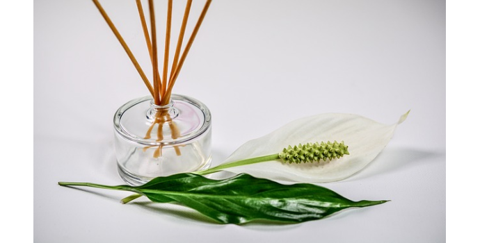 Las notas de salida en un perfume y su evolución olfativa